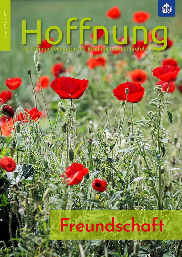 Ausgabe 29